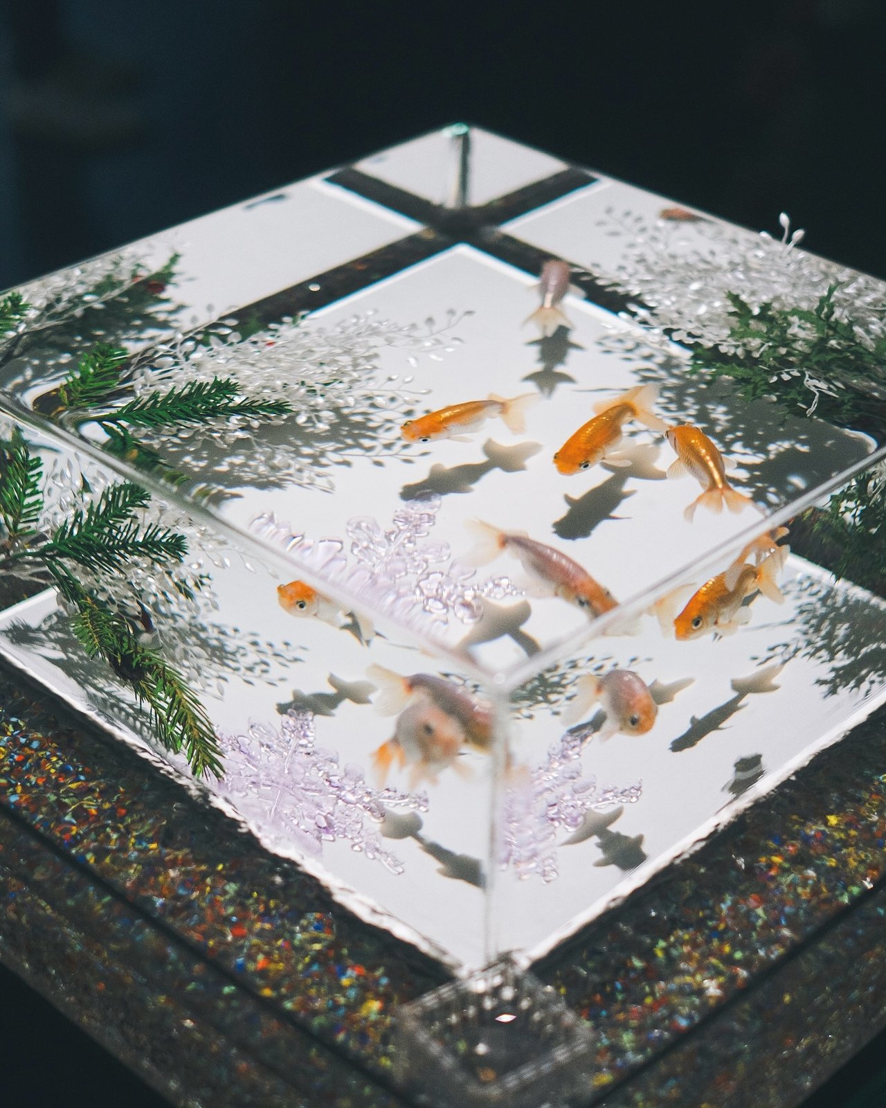 Art Aquarium mirrored tank