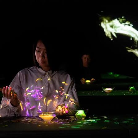 Teacup interactive 3